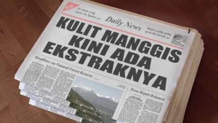 Kabar gembira! Inilah Manfaat Kulit Manggis yang Gak Kamu Ketahui 6