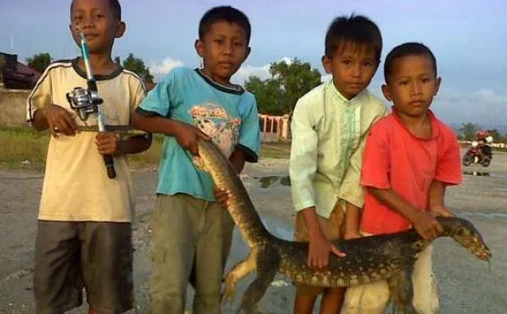 22 Skill Yang Belum Tentu Bisa Dikuasai Cowok-Cowok Indonesia 44