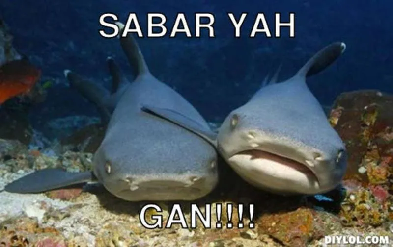 Balada Fresh Graduate Yang Kelamaan Nganggur 26