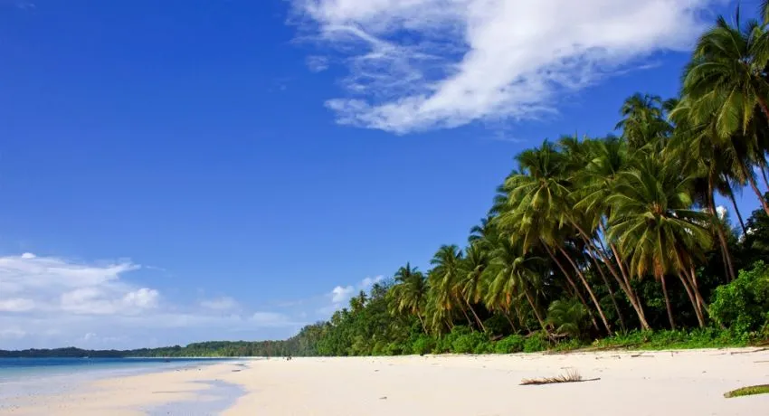 12 Jenis Pantai Menakjubkan dari Seluruh Dunia (Beberapa Ada di Indonesia, Lho!) 31