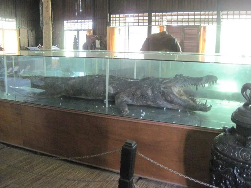 10 Museum dengan Koleksi Tidak Biasa Yang Bisa Kamu Kunjungi Akhir Pekan Ini 12