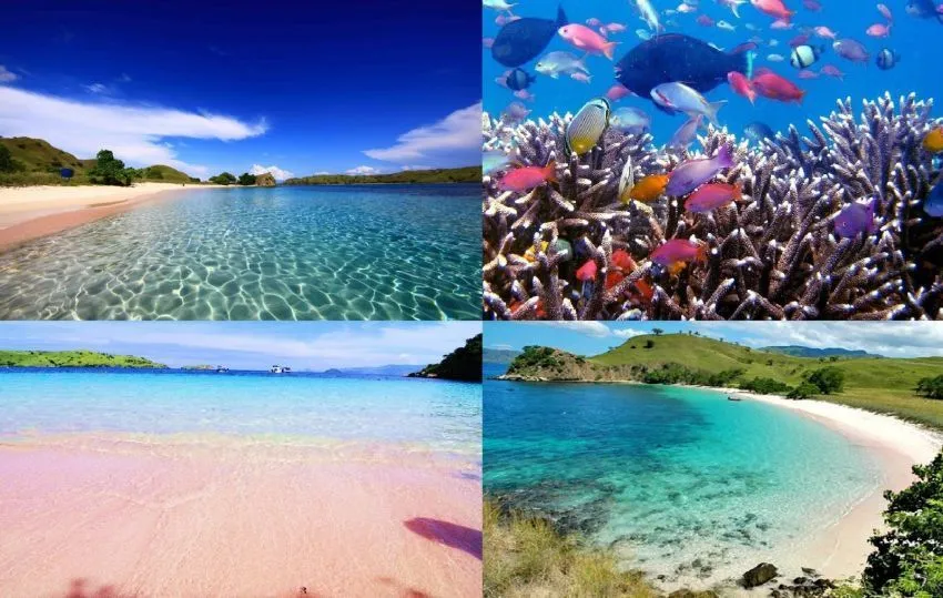 12 Jenis Pantai Menakjubkan dari Seluruh Dunia (Beberapa Ada di Indonesia, Lho!) 32
