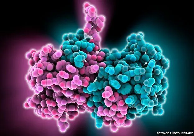8 Fakta yang Perlu Kamu Tahu Agar Tidak Panik Menghadapi Virus Ebola 9