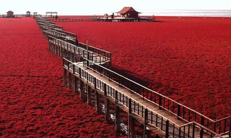 12 Jenis Pantai Menakjubkan dari Seluruh Dunia (Beberapa Ada di Indonesia, Lho!) 35