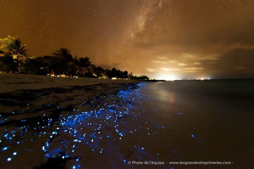 12 Jenis Pantai Menakjubkan dari Seluruh Dunia (Beberapa Ada di Indonesia, Lho!) 44