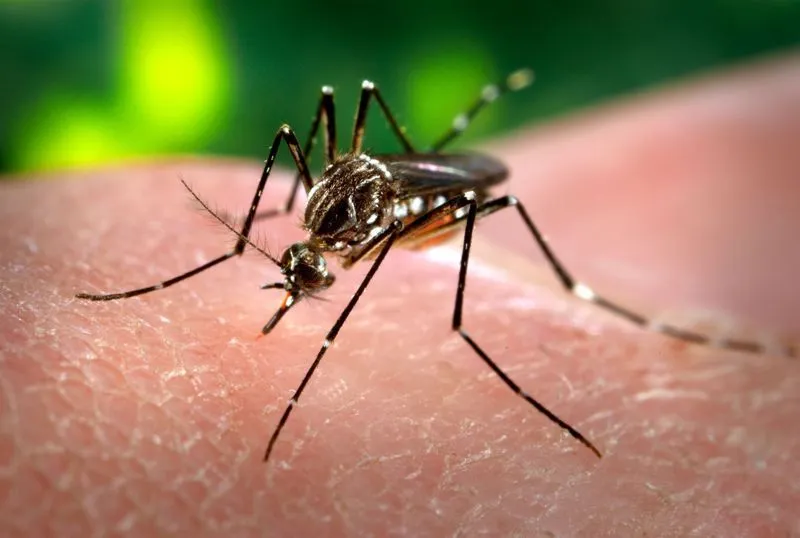 Bukan HIV Atau Ebola: Berikut Daftar Virus Paling Berbahaya Yang Mengancam Manusia 18