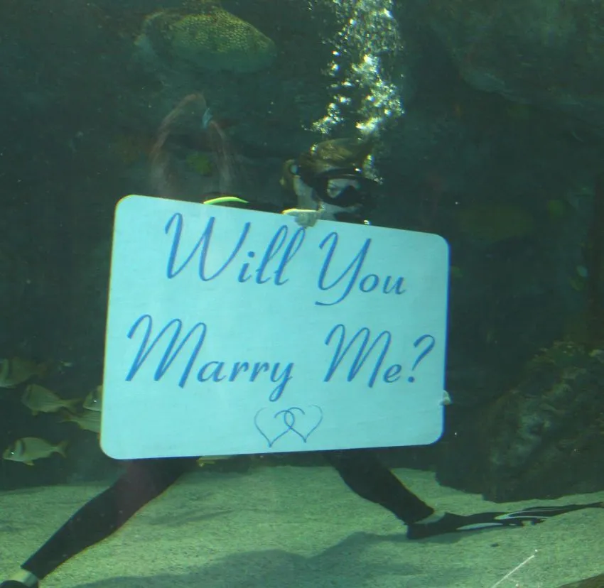 20 Cara Paling Romantis Melamar Pujaan Hati 34