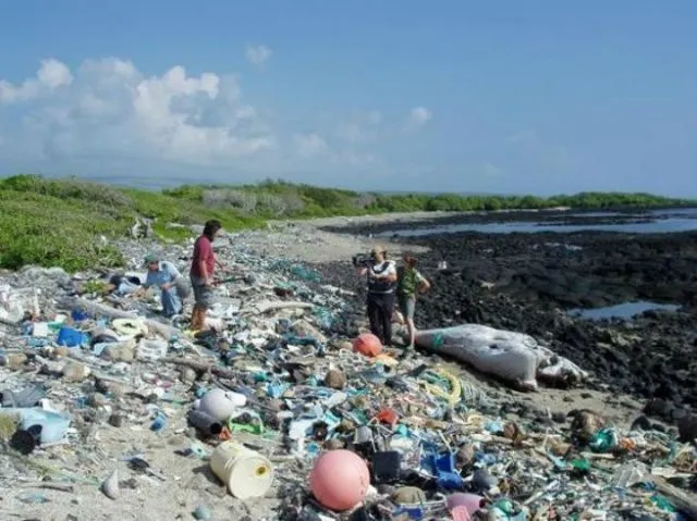 Masih suka mengonsumsi plastik? Pikir lagi! 44