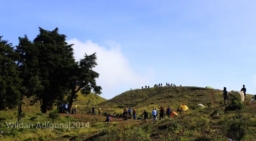 Menyapa Fajar di Gunung Prau 13