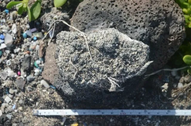 Masih suka mengonsumsi plastik? Pikir lagi! 42