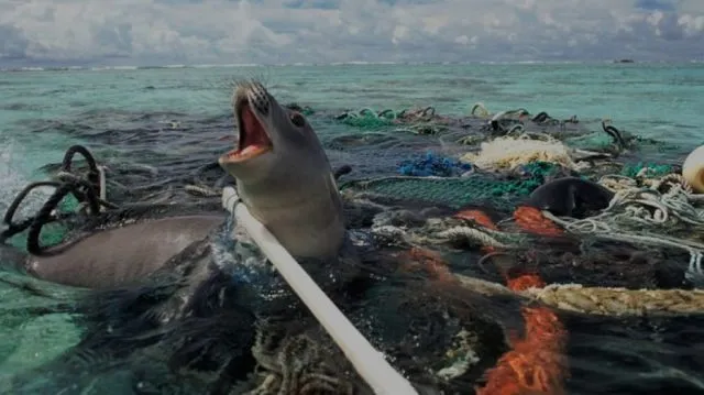 Masih suka mengonsumsi plastik? Pikir lagi! 47