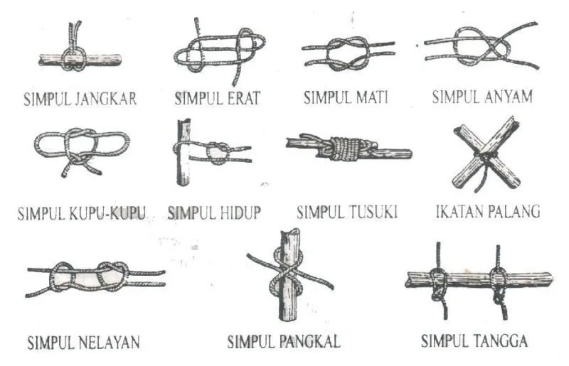 Memperingati Hari Pramuka, Nostalgia Masa-Masa Pramuka Kita Yuk! 22