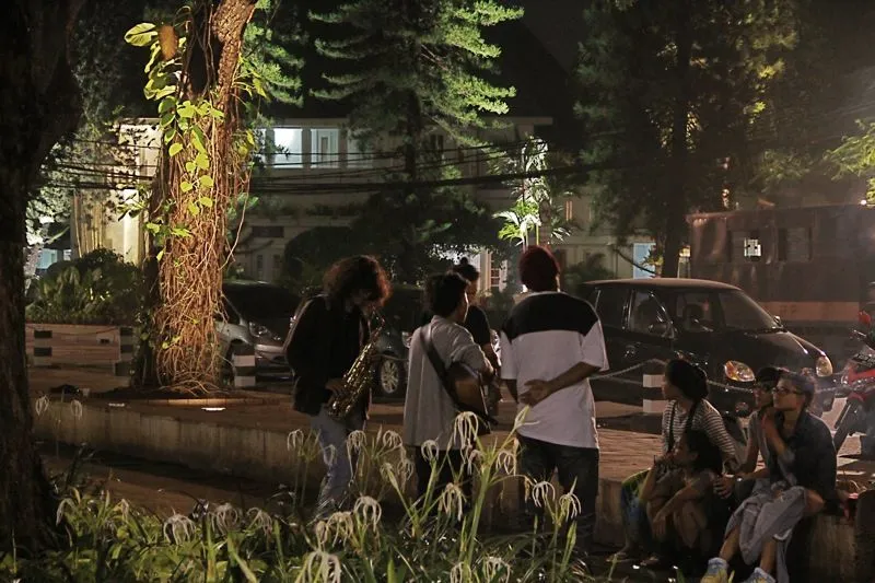 22 Alasan Kenapa Kamu Harus Peduli Pada Hutan, Pepohonan, Dan Lahan Terbuka Hijau di Sekitarmu 40