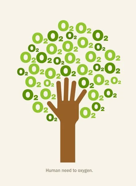 22 Alasan Kenapa Kamu Harus Peduli Pada Hutan, Pepohonan, Dan Lahan Terbuka Hijau di Sekitarmu 27