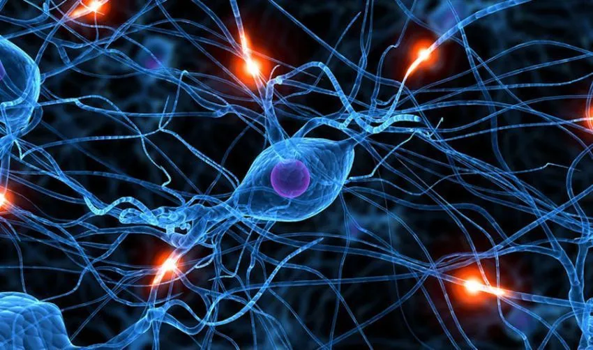 Fakta-fakta Mengejutkan Tentang Tubuh Manusia 42