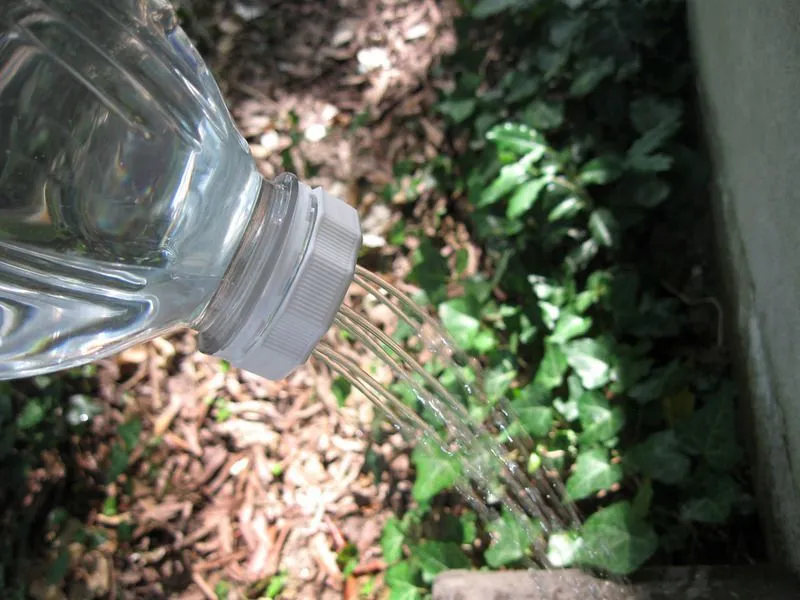 Jangan Buang Botol Plastikmu. Ubah Mereka Jadi Hiasan yang Berguna dan Seru! 40