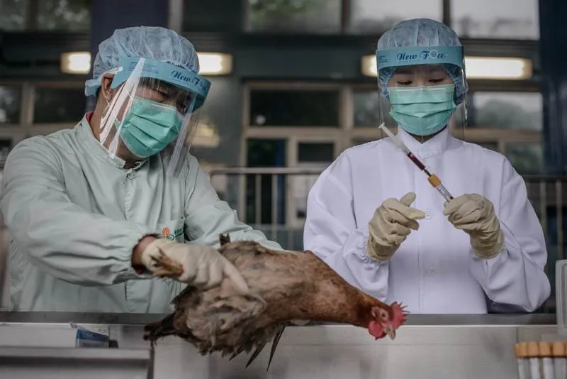 Bukan HIV Atau Ebola: Berikut Daftar Virus Paling Berbahaya Yang Mengancam Manusia