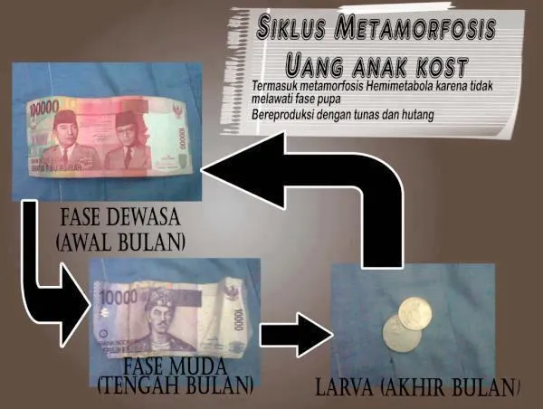 25 Pengalaman Lumrah yang Cuma Bisa Dipahami Oleh Anak Kost 41
