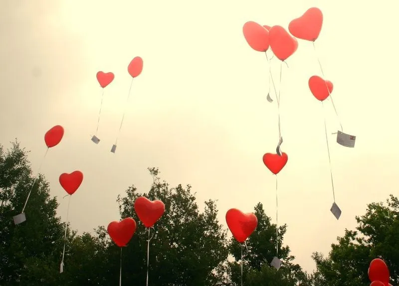Bukan Cuma Dalam Film Atau Novel Romantis, Belahan Jiwa Itu Benar-Benar Ada... 19