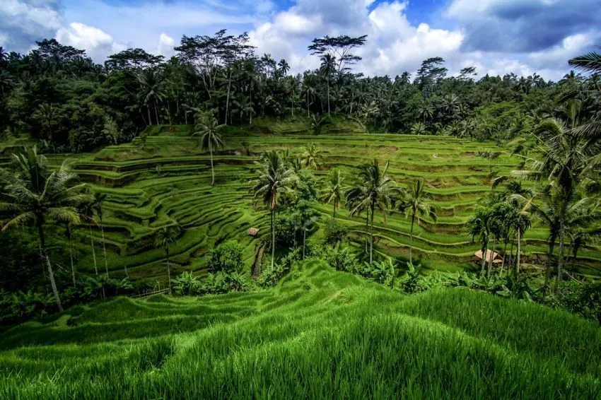 Pilihan Tujuan Wisata Lokal Paling Ciamik untuk Akhir Pekanmu 20