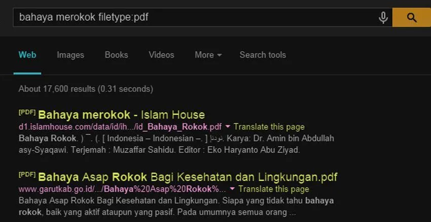 Lakukan Trik-Trik Google Search Berikut Biar Aktivitas Googling-mu Maksimal! 25