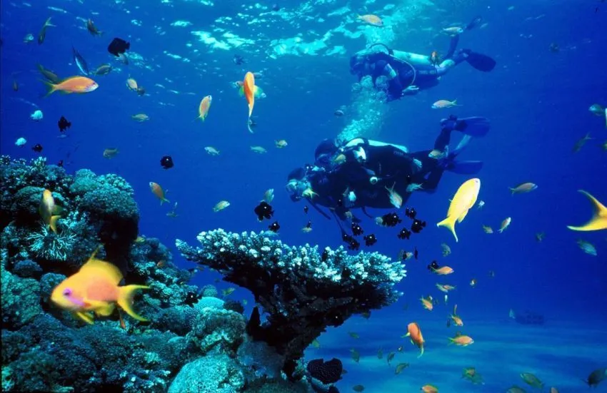 10 Kegiatan Pemacu Adrenalin yang Patut Kamu Cicipi Sebelum Mati 12