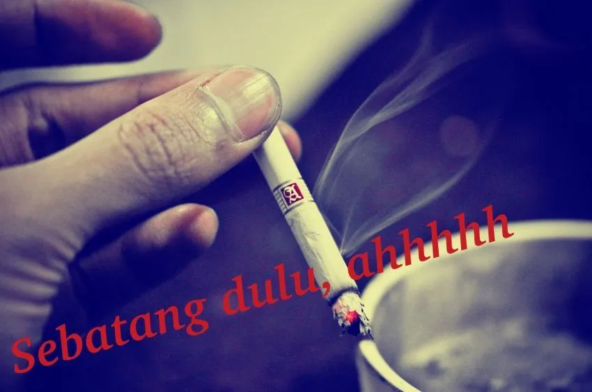 Beda Logika Cewek dan Cowok yang Kadang Bikin Berabe 57