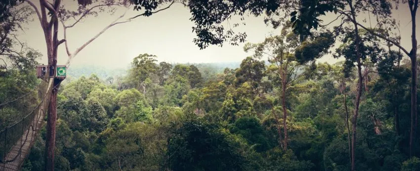 Pilihan Tujuan Wisata Lokal Paling Ciamik untuk Akhir Pekanmu 19