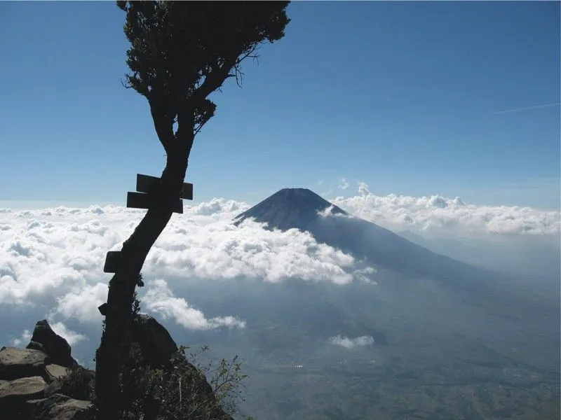 Tips-Tips yang Harus Kamu Baca Sebelum Mencumbui Puncak Gunung 19