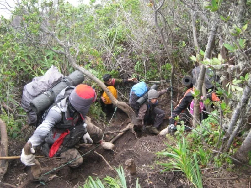 Berbagai Alasan Kenapa Para Pendaki Gunung Itu Cool! 17
