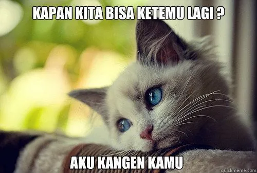 Haru Biru Perjuangan Kalian Para Pelaku LDR! 61