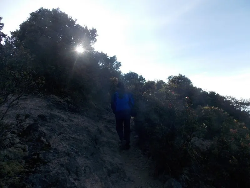 Berbagai Alasan Kenapa Para Pendaki Gunung Itu Cool! 21