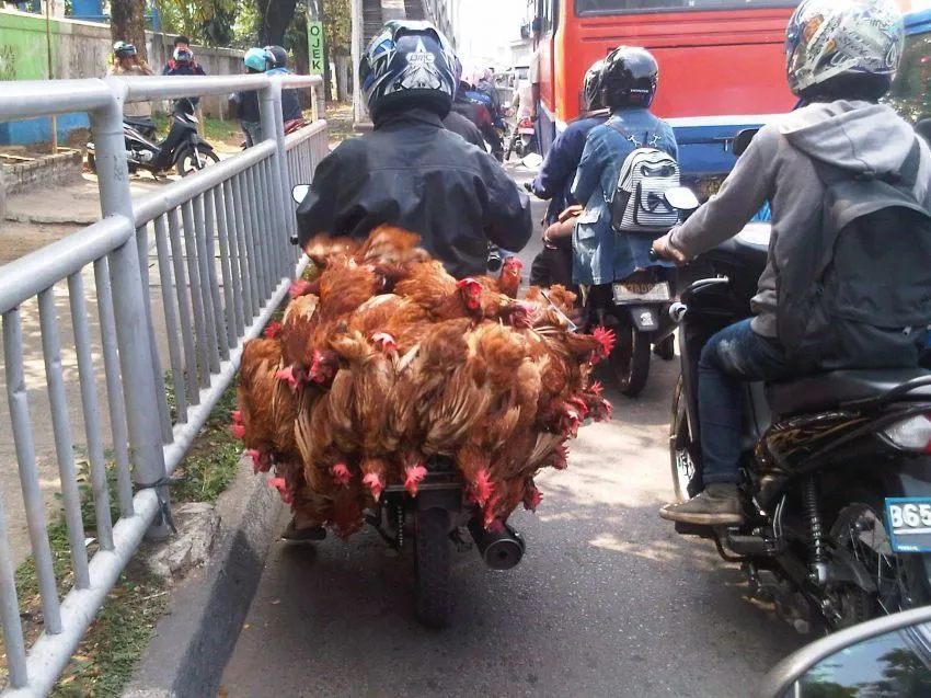 Cuma Kamu yang Warga Jakarta yang Paham Fragmen Hidup Macam Ini! 92