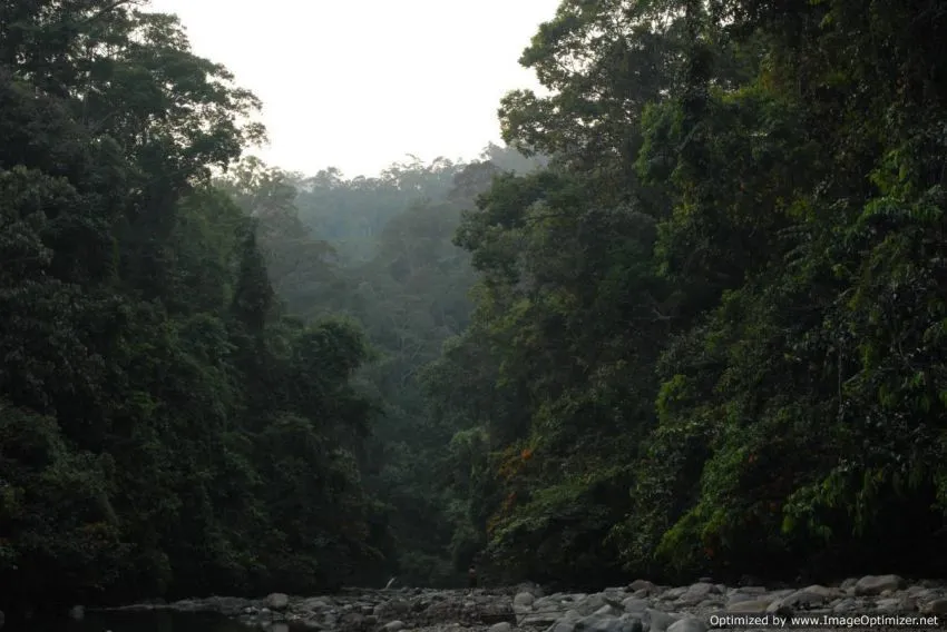 Cuma Anak-Anak Kalimantan yang Merasakan Pergulatan Batin Ini! 43