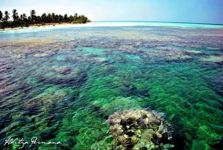 4 Hari 3 Malam di Karimunjawa dengan 1,1 Juta Rupiah Saja! Udah Termasuk Semuanya Lo 16