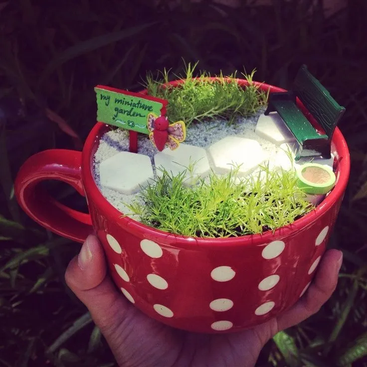 Ingin Punya Kebun Mini Sendiri? Buat Saja Dengan Gelas dan Toples Bekas Ini! 14