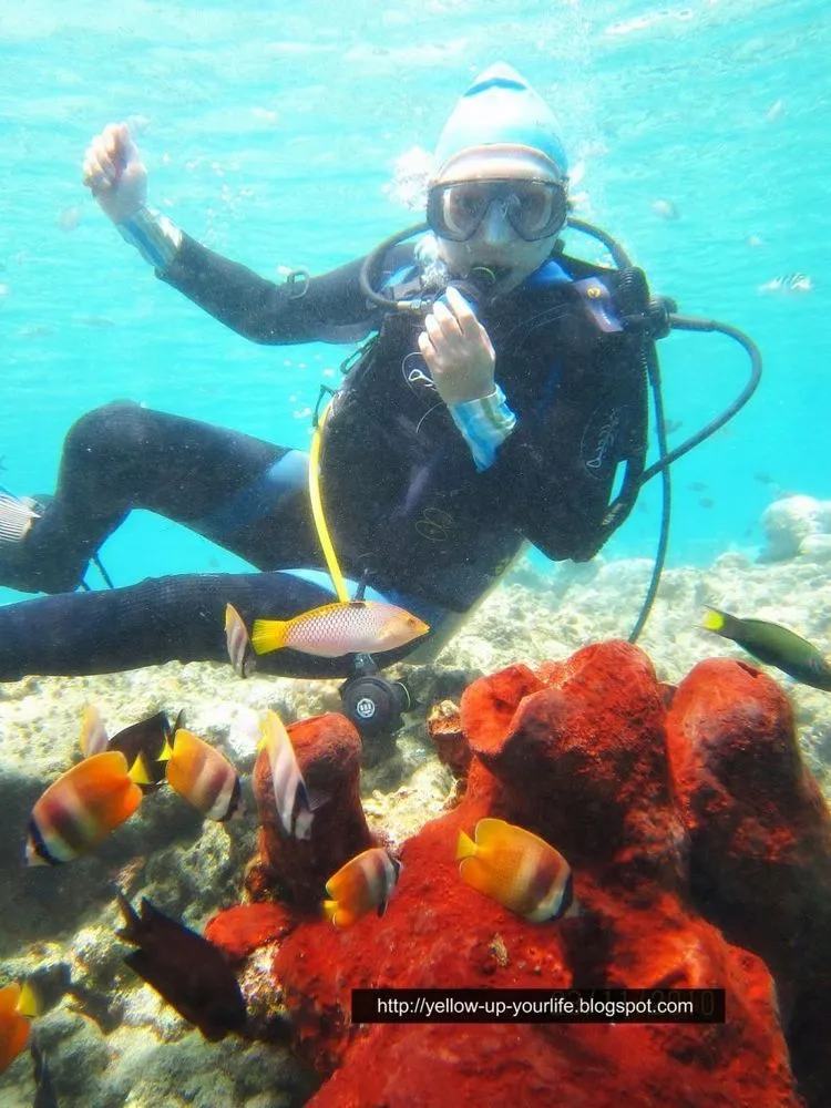 10 Diving Spot Indonesia Terbaik yang Wajib Kamu Jelajahi 12