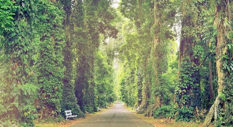 10 Taman Rekreasi di Indonesia yang Nggak Kalah Keren dari Disneyland 14