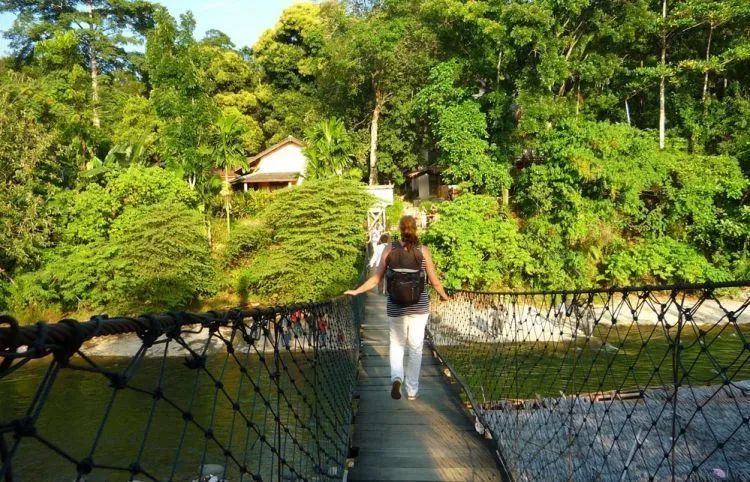 Ingin Pengalaman Liburan yang Berbeda di Kota Medan? Inilah Hal-hal Seru yang Wajib Kamu Lakukan 25
