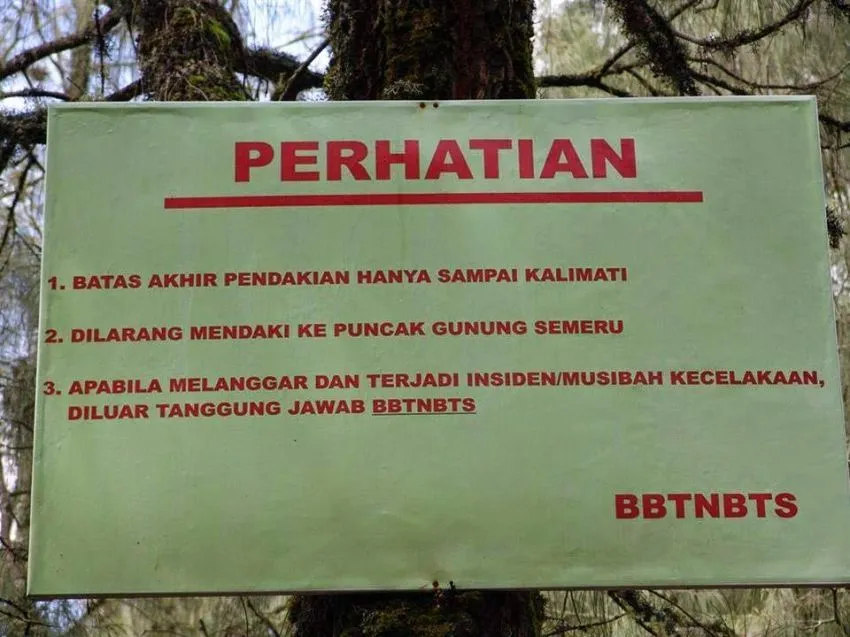 12 Hal yang Jangan Pernah Kamu Lakukan Saat Mendaki Puncak Mahameru 19
