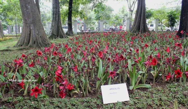 13 Hal Asyik yang Bisa Kamu Lakukan di Bandung 23