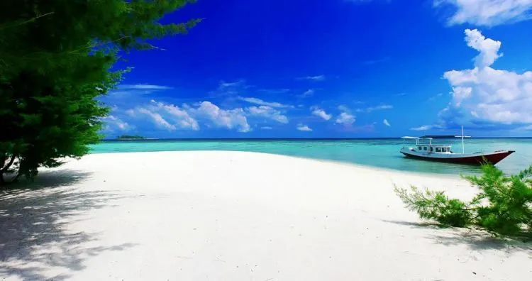 4 Hari 3 Malam di Karimunjawa dengan 1,1 Juta Rupiah Saja! Udah Termasuk Semuanya Lo 14