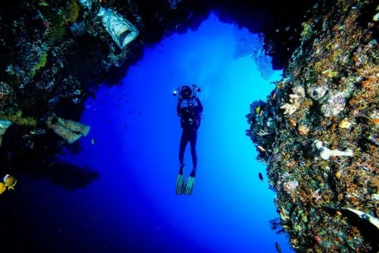10 Diving Spot Indonesia Terbaik yang Wajib Kamu Jelajahi 13