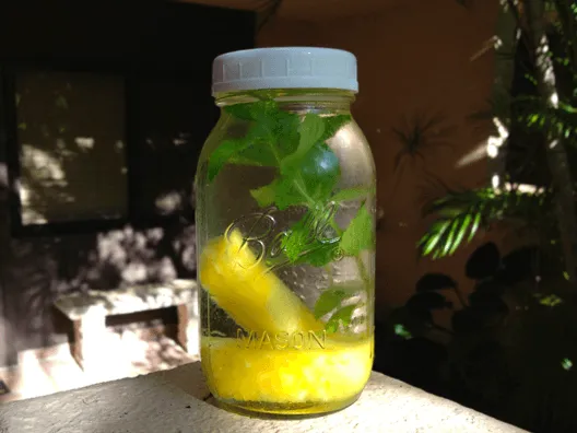 7+ Cara Membuat Infused Water Mudah & Ga Pahit 15