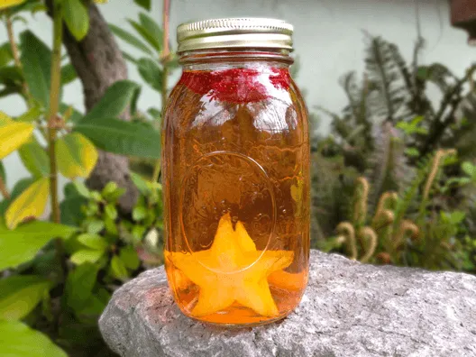 7+ Cara Membuat Infused Water Mudah & Ga Pahit 16