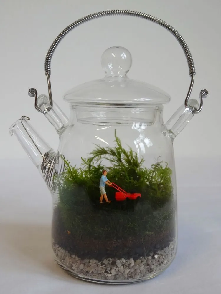 Ingin Punya Kebun Mini Sendiri? Buat Saja Dengan Gelas dan Toples Bekas Ini! 16