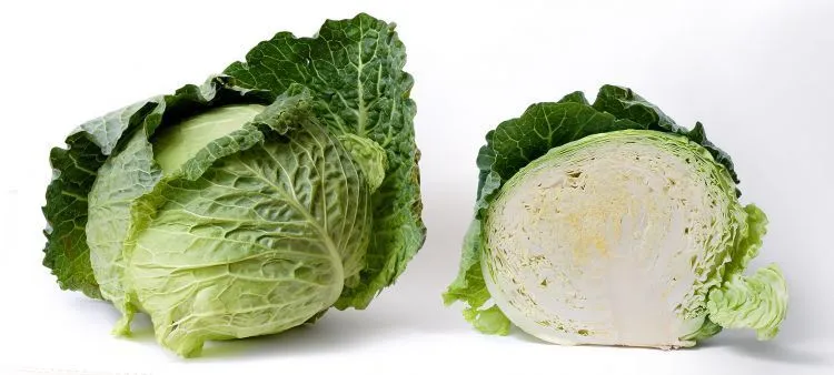 Bro-Bro, 12 Makanan Ini Bisa Mendongkrak Kejantananmu Secara Alami! 23