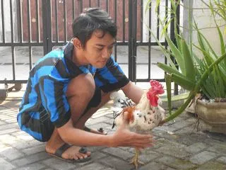 10 Tips Supaya Suasana Kostmu Lebih Nyaman, Ceria, dan Menyenangkan 19