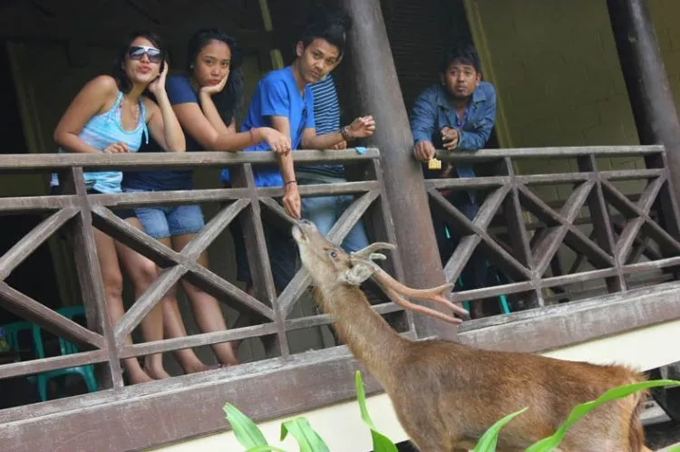 Dengan Bujet 400 Ribuan Saja, Kamu Bisa Menjamahi Eksotisme Taman Nasional Ujung Kulon Segera! 19