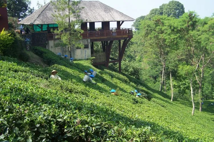 23 Tempat Wisata di Malang dan Batu Paling Favorit 45